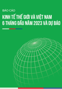 Báo cáo kinh tế thế giới và Việt Nam 6 tháng đầu năm 2023 và dự báo
