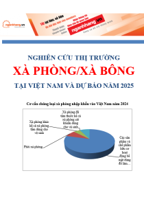 Nghiên cứu thị trường xà phòng/xà bông và sản phẩm liên quan tại Việt Nam và dự báo năm 2025