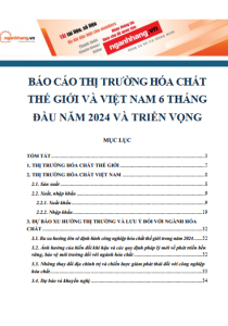 Báo cáo thị trường hóa chất thế giới và Việt Nam 6 tháng đầu năm 2024 và triển vọng