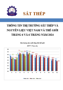 Thông tin thị trường sắt thép và nguyên liệu Việt Nam và Thế giới tháng 6 và 6 tháng năm 2024 
