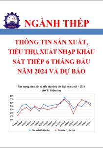 Thông tin sản xuất, tiêu thụ, xuất nhập khẩu sắt thép 6 tháng đầu năm 2024 và dự báo