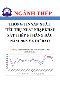 THÔNG TIN SẢN XUẤT, TIÊU THỤ, XUẤT NHẬP KHẨU SẮT THÉP 6 THÁNG ĐẦU NĂM 2025 VÀ DỰ BÁO