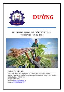 Thông tin thị trường Đường Thế giới và Việt Nam tháng 7/2024 và dự báo