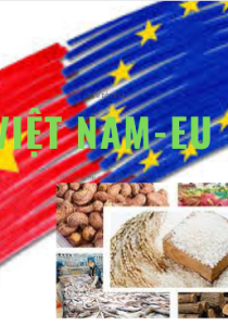 Phân tích tình hình xuất nhập khẩu hàng hóa của Việt Nam với Thị trường EU thực hiện tháng 8/2024 