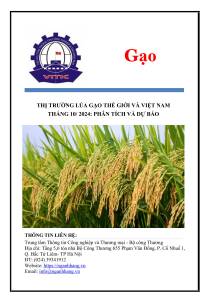 Thị trường lúa gạo thế giới và Việt Nam  tháng 10/2024: phân tích và dự báo
