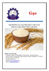 Thị trường lúa gạo thế giới và Việt Nam  tháng 12/2024: phân tích và dự báo