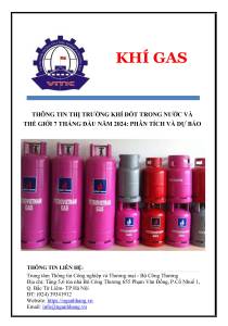 Thị trường khí gas tháng 7/2024 - 7 tháng đầu năm 2024: phân tích và dự báo