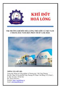 THỊ TRƯỜNG KHÍ ĐỐT HÓA LỎNG THẾ GIỚI VÀ VIỆT NAM 3  THÁNG ĐẦU NĂM 2025: PHÂN TÍCH VÀ DỰ BÁO
