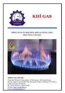Thông tin xuất nhập khẩu khí đốt hóa lỏng (khí gas) tháng 1/2025: Phân tích và dự báo