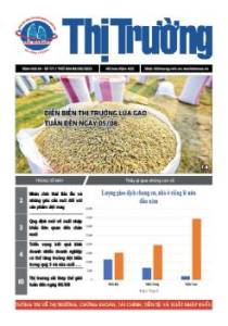 Bản tin Thị trường ngày 08/08/2022