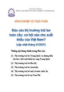 Thông tin về thị trường trái bơ toàn cầu: cơ hội nào cho xuất khẩu của Việt Nam?