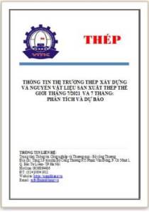 Thị trường thép xây dựng và nguyên vật liệu sản xuất thép thế giới tháng 7/2021 và 7 tháng: Phân tích và dự báo