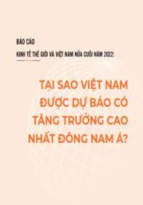 Kinh tế Thế giới và Việt Nam nửa cuối năm 2022: tại sao Việt Nam được dự báo có tăng trưởng cao nhất Đông Nam Á?