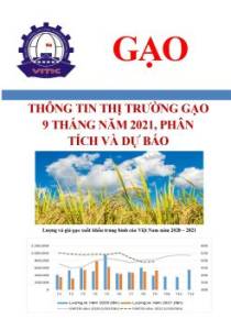 Thông tin thị trường gạo 9 tháng năm 2021, phân tích và dự báo