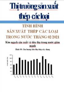 Thông tin về tình hình sản xuất thép các loại và Dự báo