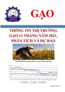 Thông tin thị trường gạo 11 tháng năm 2021, phân tích và dự báo