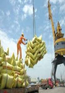 Thông tin thị trường Gạo thế giới tháng 7, 7 tháng đầu năm 2021: Phân tích và dự báo