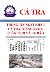 Thông tin xuất khẩu cá tra tháng 6/2022, phân tích và dự báo