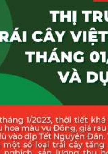 Thông tin xuất khẩu rau quả của Việt Nam - hàng tháng (P.Thương mại nội địa)
