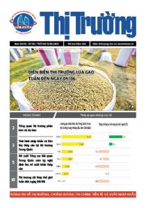 Bản tin Thị trường ngày 12/06/2023