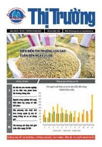 Bản tin Thị trường ngày 28/08/2023