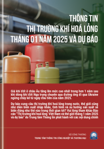 Thông tin thị trường khí hoá lỏng tháng 1 năm 2025 và dự báo