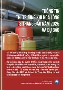 THÔNG TIN THỊ TRƯỜNG KHÍ HOÁ LỎNG 3 THÁNG ĐẦU NĂM 2025 VÀ DỰ BÁO