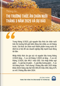 Thông tin thị trường thức ăn chăn nuôi tháng 3 năm 2025 và dự báo