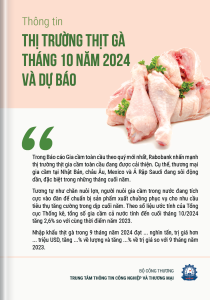 Thông tin thị trường thịt gà tháng 10 năm 2024 và dự báo