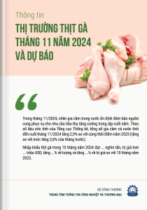 Thông tin thị trường thịt gà tháng 11 năm 2024 và dự báo