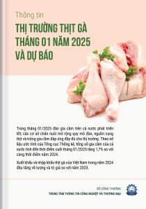 Thông tin thị trường thịt gà tháng 01 năm 2025 và dự báo