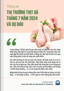 Thông tin thị trường thịt gà tháng 7 năm 2024 và dự báo