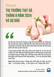 Thông tin thị trường thịt gà tháng 8 năm 2024 và dự báo