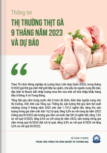 Thông tin thị trường thịt gà 9 tháng năm 2023 và dự báo