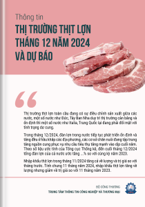 Thông tin thị trường thịt lợn tháng 12 năm 2024 và dự báo