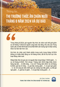 Thông tin thị trường thức ăn chăn nuôi tháng 8 năm 2024 và dự báo